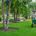 landscaping barrow county