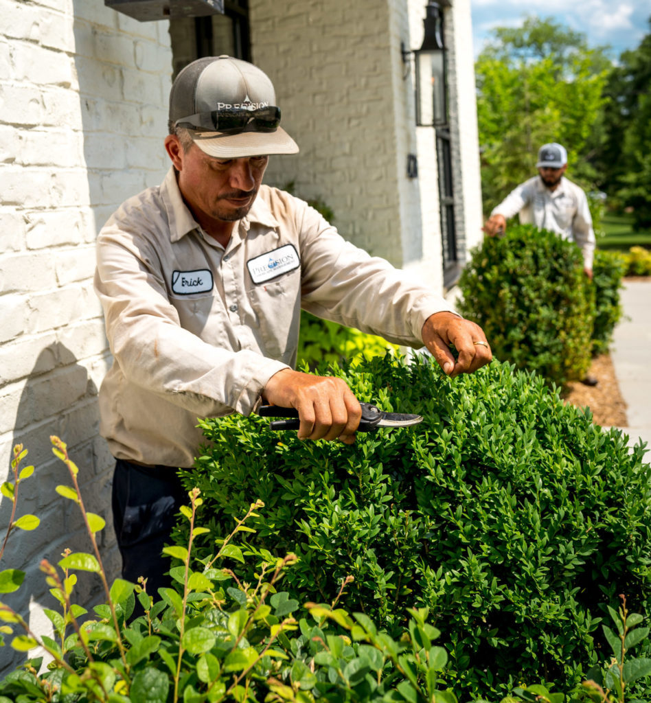 Commercial Landscape Management Services