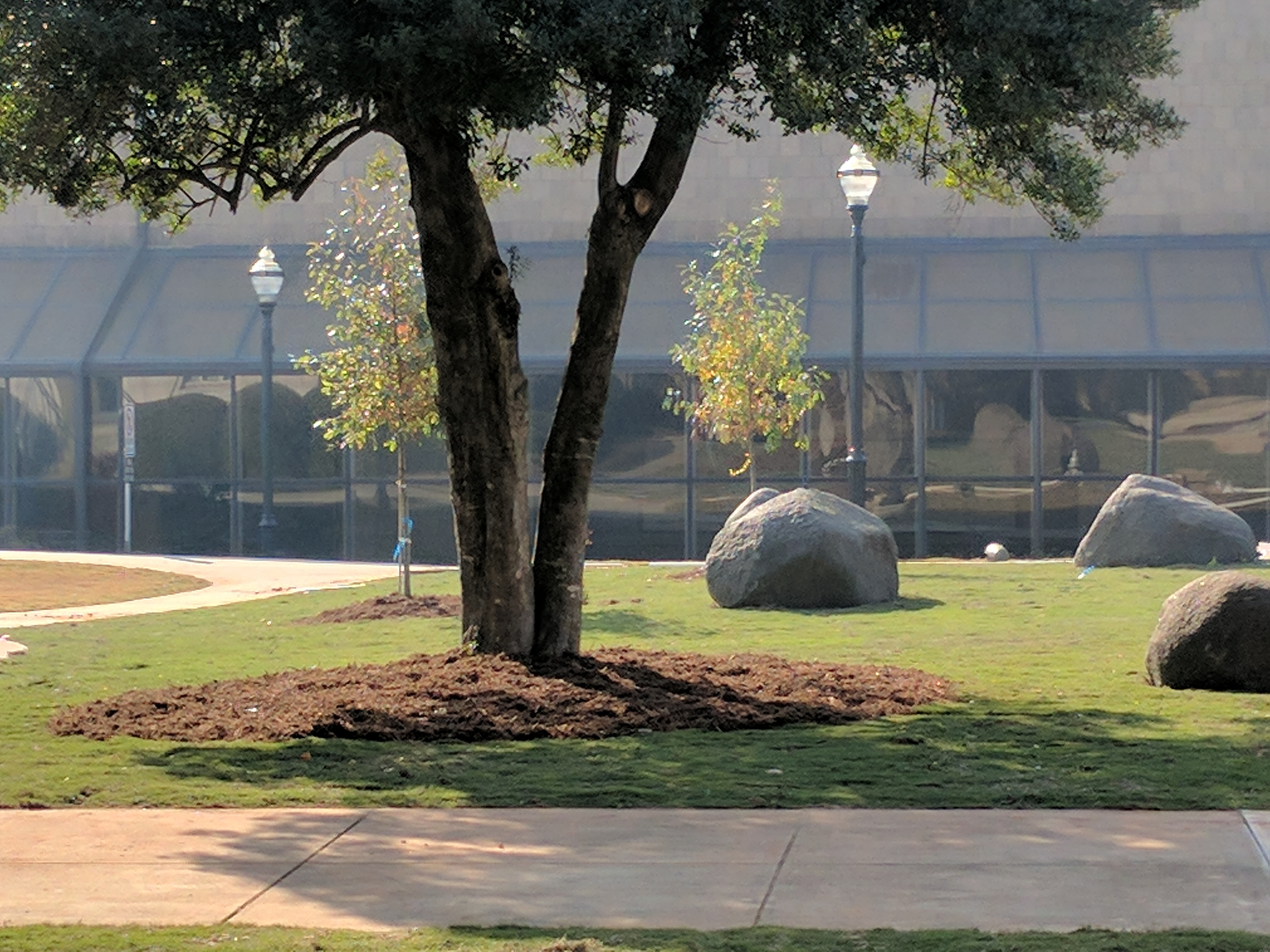 Landscaping Barrow County GA